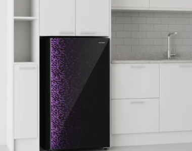 Sharp SJ-X165MG: Kulkas 1 Pintu Murah dan Hemat Energi