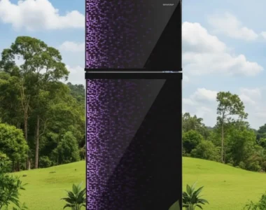 Kulkas 2 Pintu Sharp SJ-236MG: Review dan Harga Terbaru