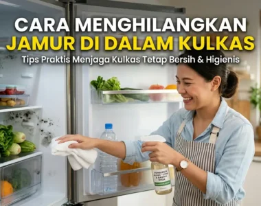 Cara Menghilangkan Jamur di Dalam Kulkas